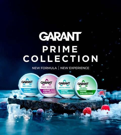 Mikä on Garant?