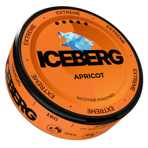 Iceberg Arasaka
